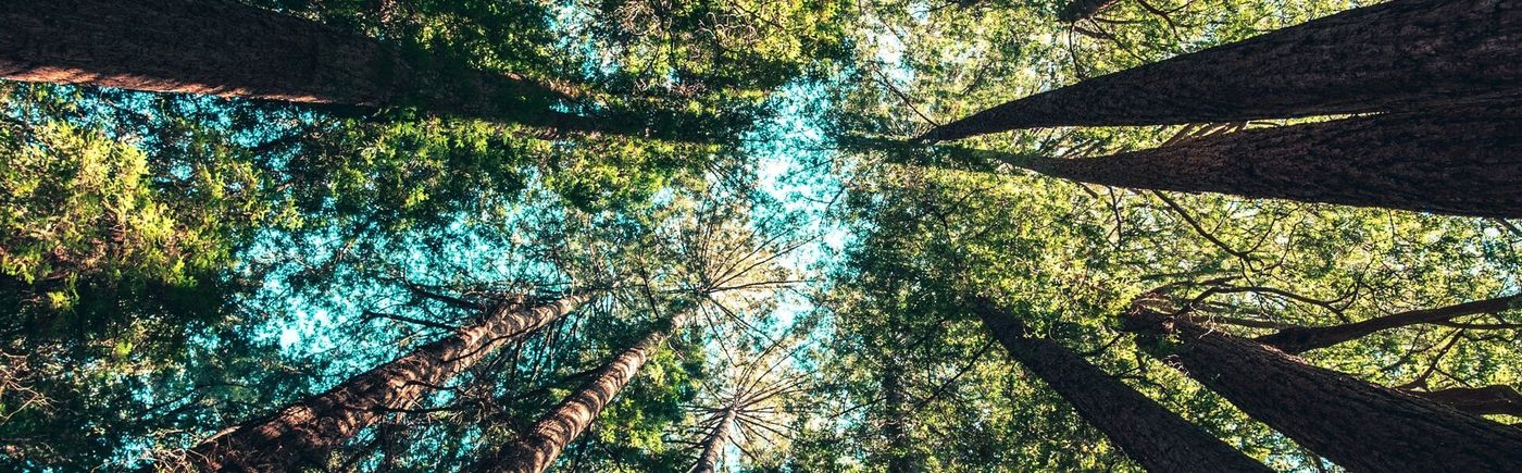 Nuances, je zou door de bomen het bos niet meer kunnen zien.